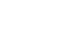 Alpine F1 Team